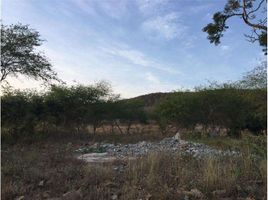  Terreno (Parcela) en venta en Montecristi, Manabi, Montecristi, Montecristi