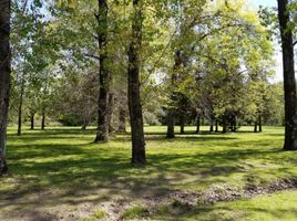  Terrain for sale in Lujan, Buenos Aires, Lujan