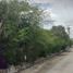  Land for sale in Hocaba, Yucatan, Hocaba