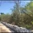  Land for sale in Hocaba, Yucatan, Hocaba