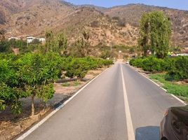  Land for sale in Chile, Buin, Maipo, Santiago, Chile