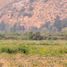  Land for sale in Chile, Buin, Maipo, Santiago, Chile