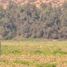  Land for sale in Chile, Buin, Maipo, Santiago, Chile