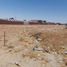  Land for sale in Hermosillo, Sonora, Hermosillo