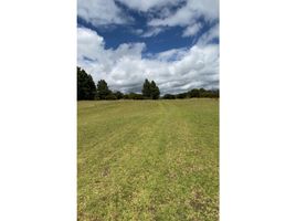  Land for sale in Chia, Cundinamarca, Chia