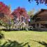 10 Schlafzimmer Haus zu verkaufen in Vichuquen, Maule, Vichuquen, Curico