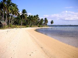  Grundstück zu verkaufen in Palawan, Mimaropa, Quezon