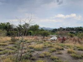  Grundstück zu verkaufen in Temixco, Morelos, Temixco