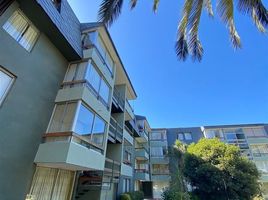 3 Bedroom Apartment for sale in Hospital Naval Almirante Nef, Vina Del Mar, Vina Del Mar