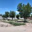  Grundstück zu verkaufen in Torreon, Coahuila, Torreon