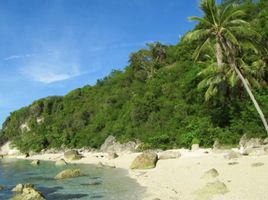  Land for sale in Oslob, Cebu, Oslob