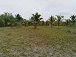  Land for sale in Muisne, Esmeraldas, Muisne, Muisne