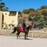  Land for sale in Zapopan, Jalisco, Zapopan, Jalisco