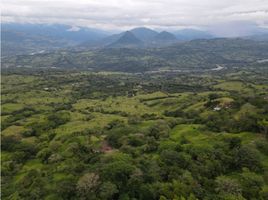  Grundstück zu verkaufen in Tamesis, Antioquia, Tamesis