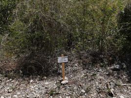  Grundstück zu verkaufen in Yaxkukul, Yucatan, Yaxkukul