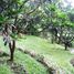  Terreno (Parcela) en venta en Cidadap, West Jawa, Cidadap, Bandung