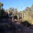  Terreno (Parcela) en venta en Arteaga, Coahuila, Arteaga