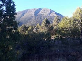  Terreno (Parcela) en venta en Arteaga, Coahuila, Arteaga