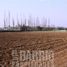  Terreno (Parcela) en alquiler en Colina, Chacabuco, Colina