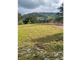  Terrain for sale in Penol, Antioquia, Penol