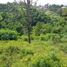  Land for sale in Bandung, West Jawa, Ngamprah, Bandung