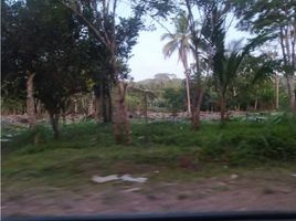  Terreno (Parcela) en venta en Panamá Oeste, El Coco, La Chorrera, Panamá Oeste