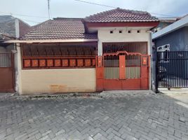 3 Schlafzimmer Haus zu verkaufen in Tambaksari, East Jawa, Tambaksari, Surabaya