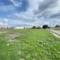  Terreno (Parcela) en venta en Salamanca, Guanajuato, Salamanca