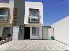 1 Bedroom House for rent in Zapopan, Jalisco, Zapopan, Jalisco, Mexico