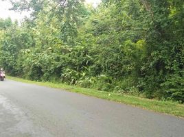  Land for sale in Yogyakarta, Pengasih, Kulon Progo, Yogyakarta