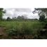  Terrain for sale in Dolega, Chiriqui, Potrerillos, Dolega