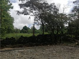  Terreno (Parcela) en venta en Chiriquí, Potrerillos, Dolega, Chiriquí