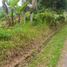  Land for sale in Selemadeg, Tabanan, Selemadeg