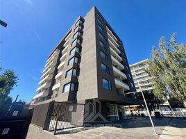 1 Bedroom Apartment for rent in Feria Pinto, Cautin, Nueva Imperial, Cautin