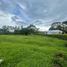  Land for sale in Pereira, Risaralda, Pereira