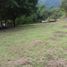  Land for sale in Tamazunchale, San Luis Potosi, Tamazunchale