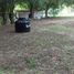  Land for sale in Tamazunchale, San Luis Potosi, Tamazunchale