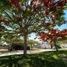  Land for sale in Zapopan, Jalisco, Zapopan, Jalisco