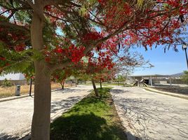  Land for sale in Zapopan, Jalisco, Zapopan, Jalisco