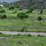  Terreno (Parcela) en venta en Capital, Mendoza, Capital