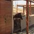  Land for sale in Mala, Lima, Mala