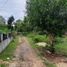  Land for rent in Bohol, Central Visayas, Panglao, Bohol