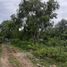  Land for rent in Bohol, Central Visayas, Panglao, Bohol