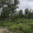  Land for rent in Bohol, Central Visayas, Panglao, Bohol