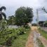  Land for rent in Bohol, Central Visayas, Panglao, Bohol