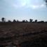  Land for sale in Calpan, Puebla, Calpan