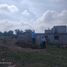  Terreno (Parcela) en venta en Zempoala, Hidalgo, Zempoala