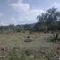  Terreno (Parcela) en venta en Zempoala, Hidalgo, Zempoala