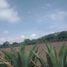  Terreno (Parcela) en venta en Zempoala, Hidalgo, Zempoala