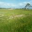  Land for sale in Selemadeg, Tabanan, Selemadeg